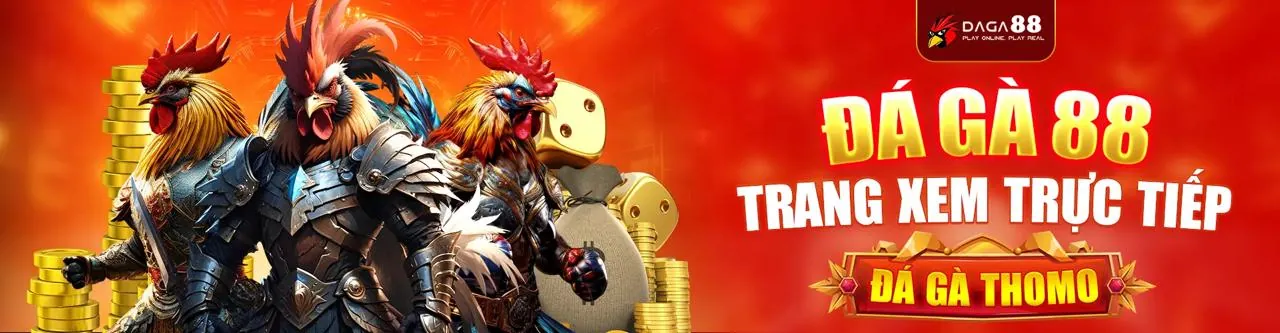 Giao diện tổng quan nền tảng 666vn win